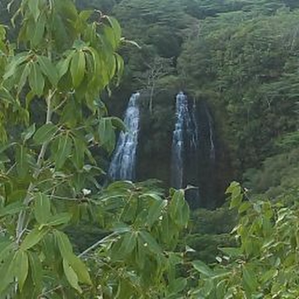 Meet your Posher, Steff